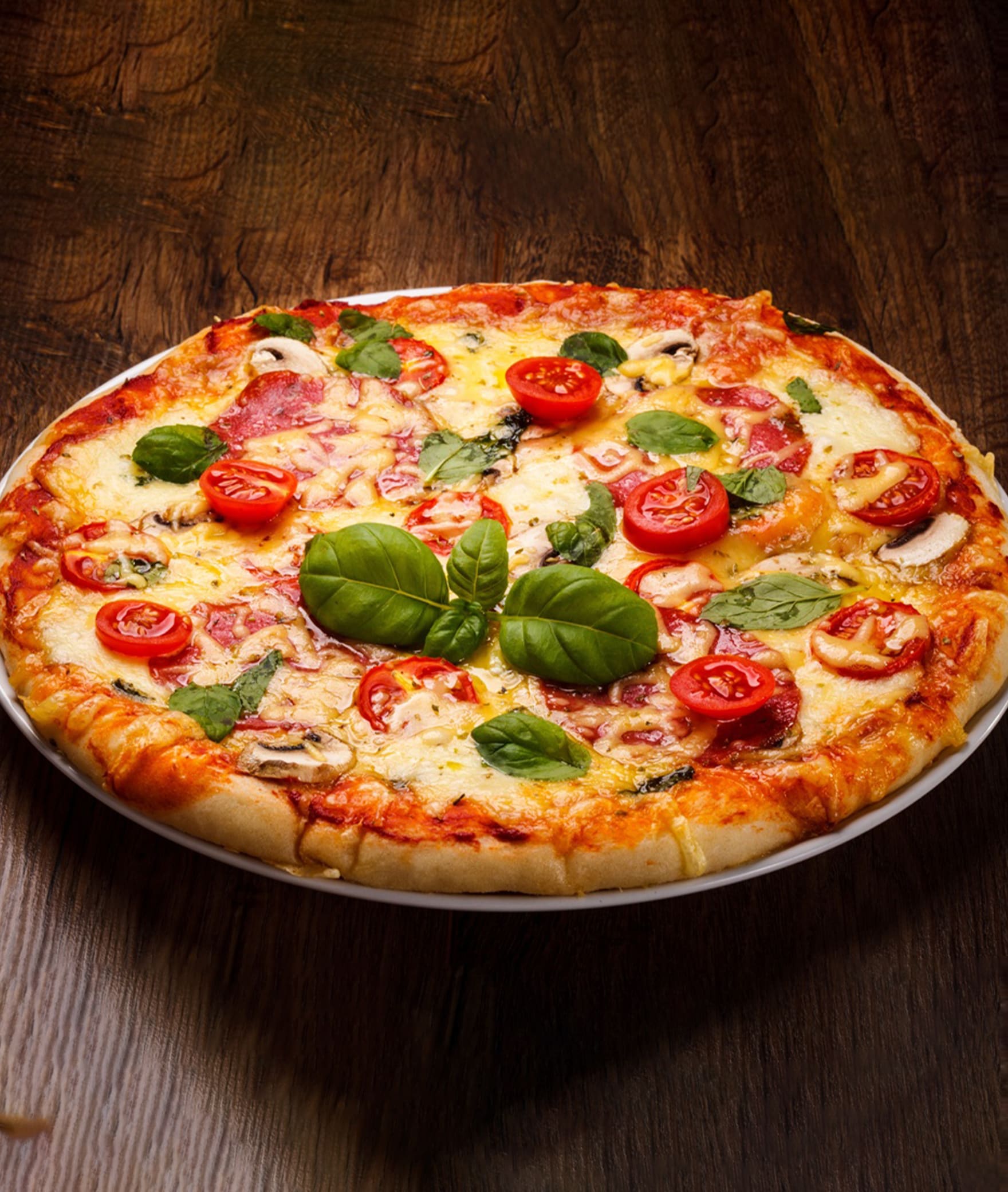 PIZZA VILLAGE - Logo