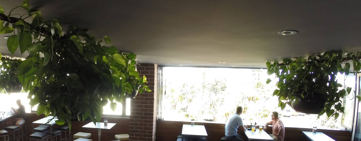 Plantcare - Cover photo