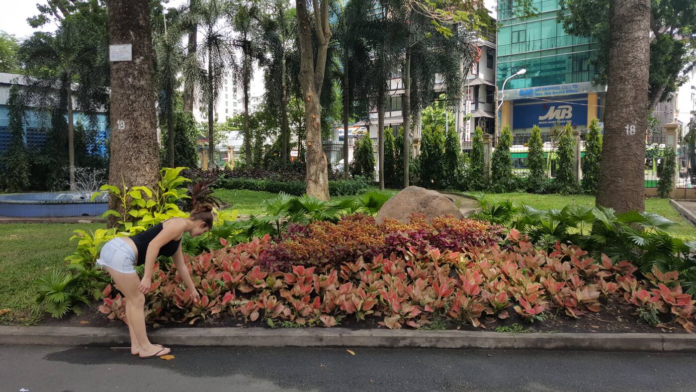 Plantinum Gardening - Cover photo