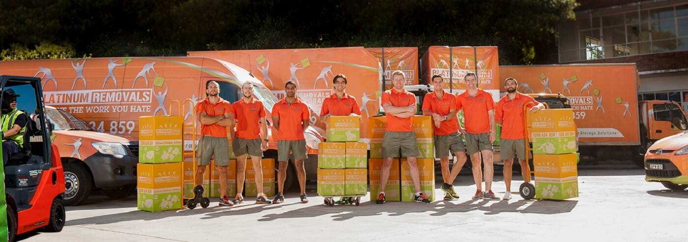 Platinum Removals - Cover photo