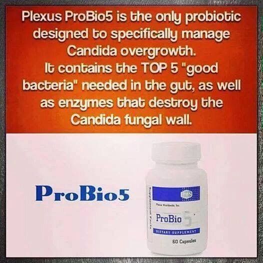 Plexus Ambassador Linda Gross - Logo