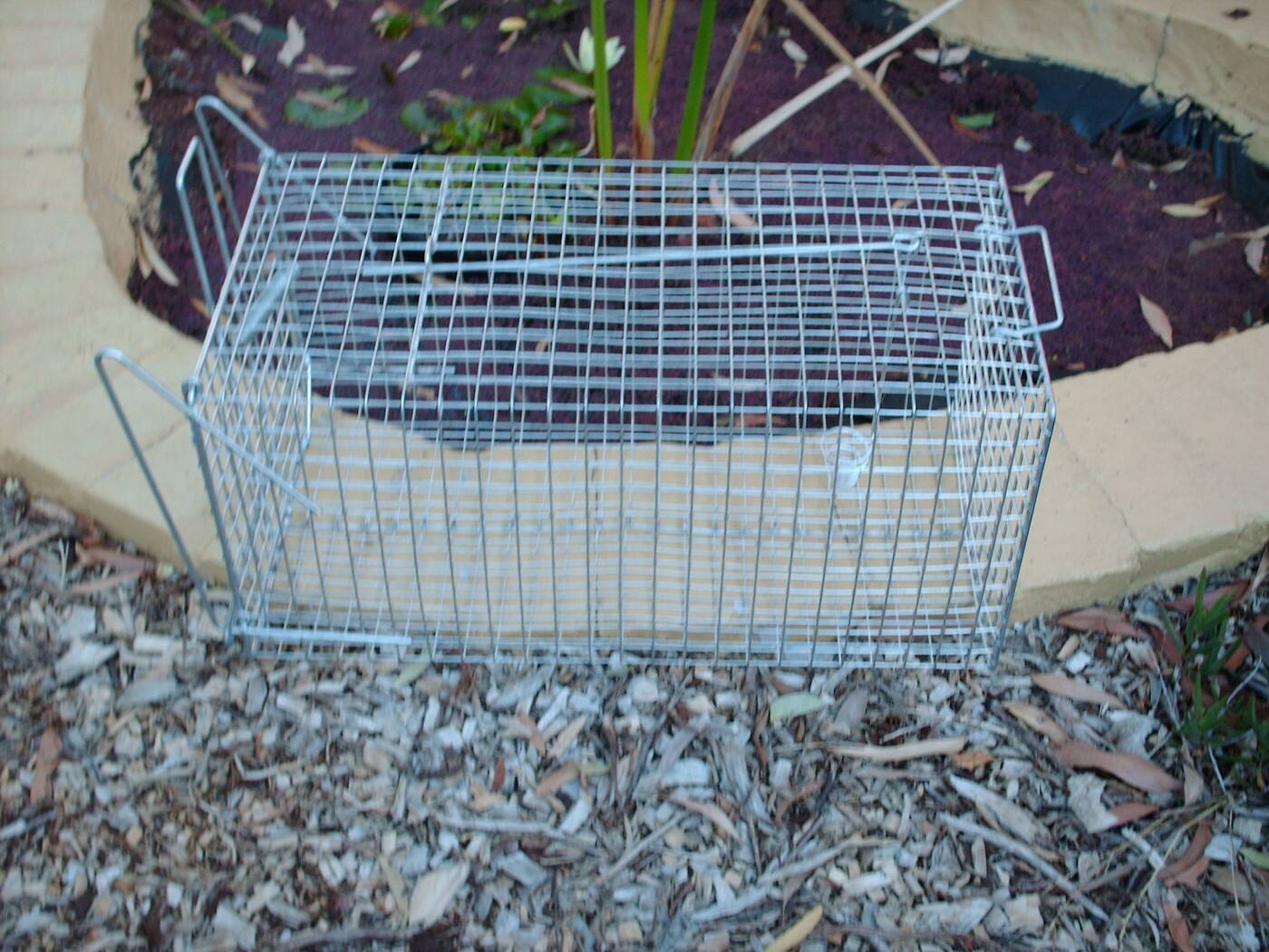 P & L Wire Products - Cover photo