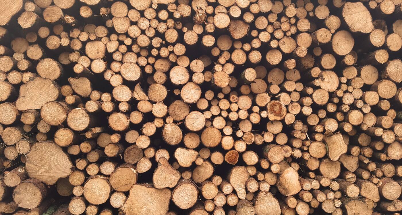 Plyco Mornington - Cover photo