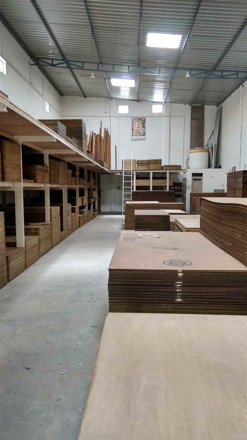 Plywood - Cover photo