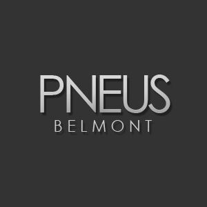 PNEUS BELMONT SNP - Logo