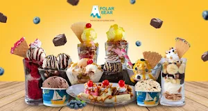 Polar Bear - Cover photo