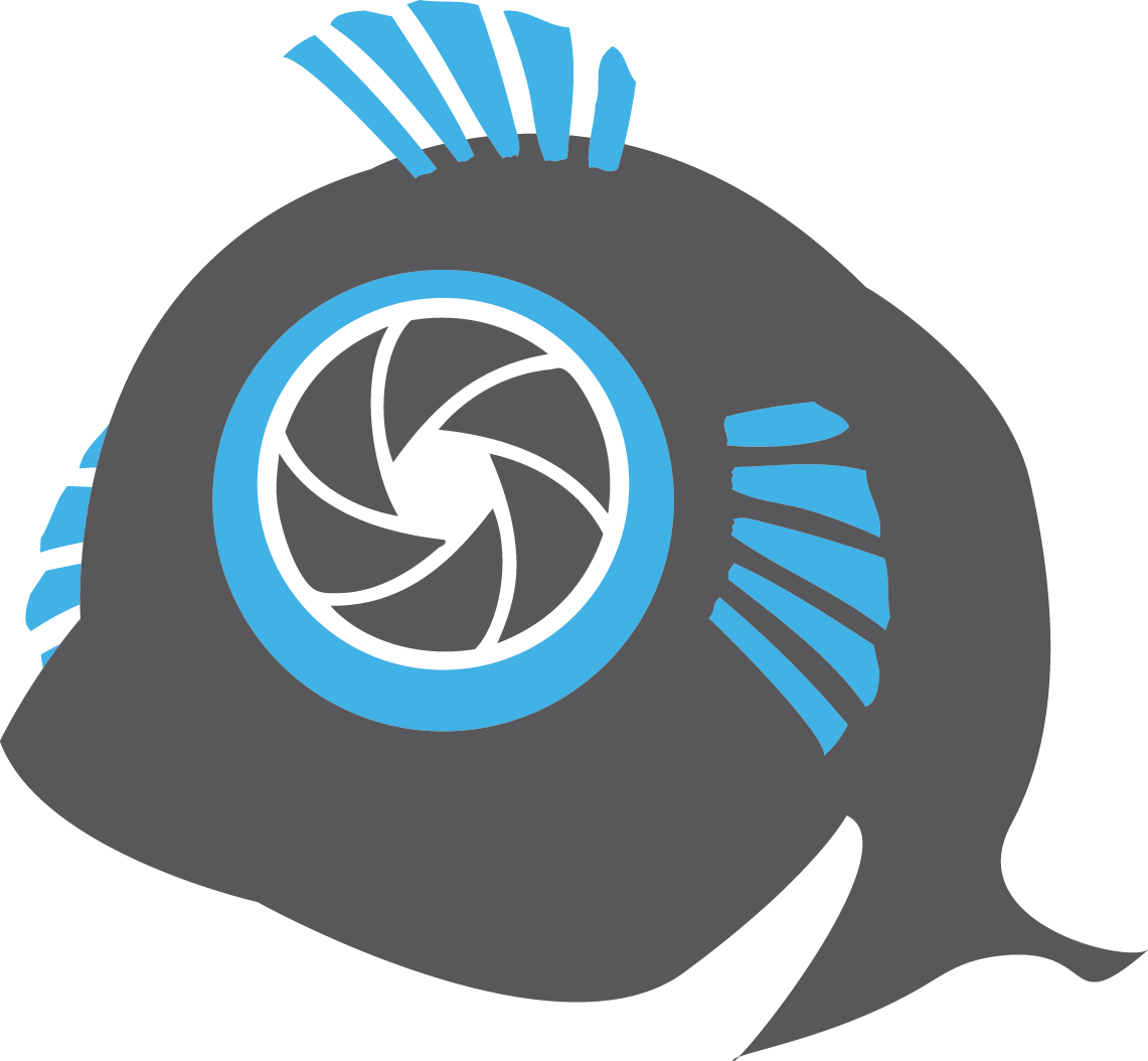 Polar Fish Photography - Logo
