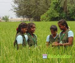 Pondicherry Institute of Agricultural Sciences ( PIAS) - Logo