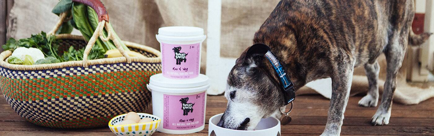 Pooch's Pantry - Logo