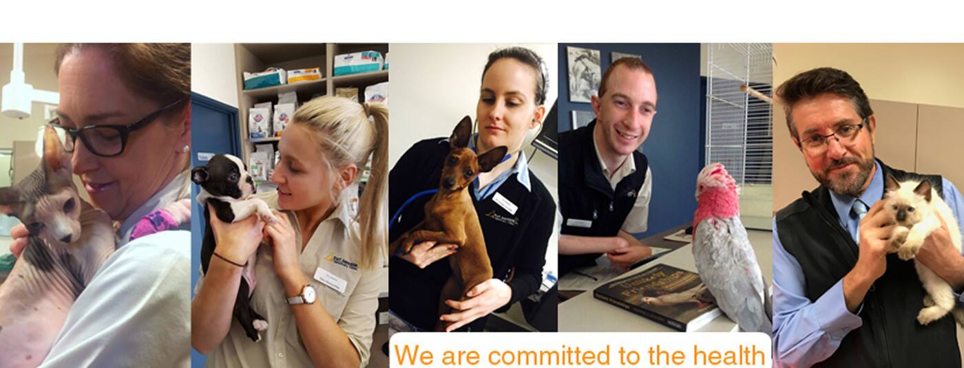 Port Adelaide Veterinary Clinic - Logo