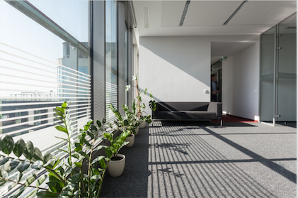 Port Macquarie Carpet One Floor & Home - Logo