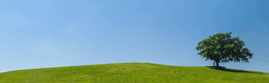 Port Stephens Cremations - Cover photo