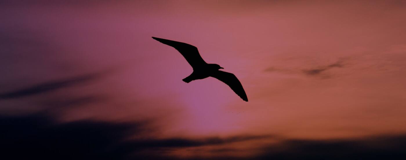 Positive Change Hypnotherapy - Cover photo
