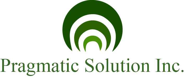 Pragmatic Solution - Cover photo