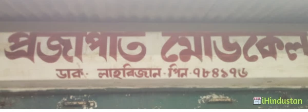 PRAJAPATI MEDICALS - Logo