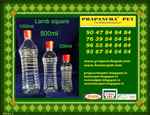 Prapancha Pet - Logo