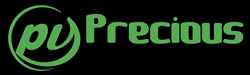 Precious Infoway 413966 - Logo