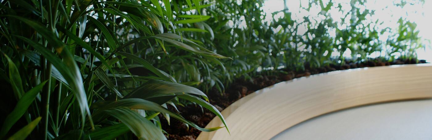 Prestigious Plantscapes - Cover photo