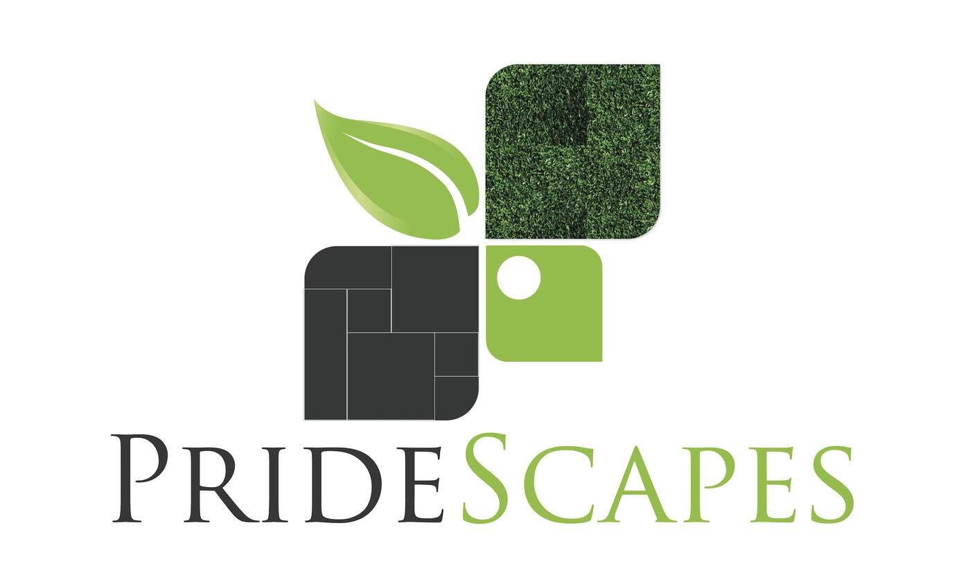 Pride Scapes - Cover photo