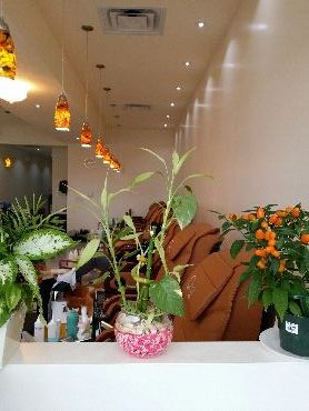 Princess Nails Spa - Cover photo