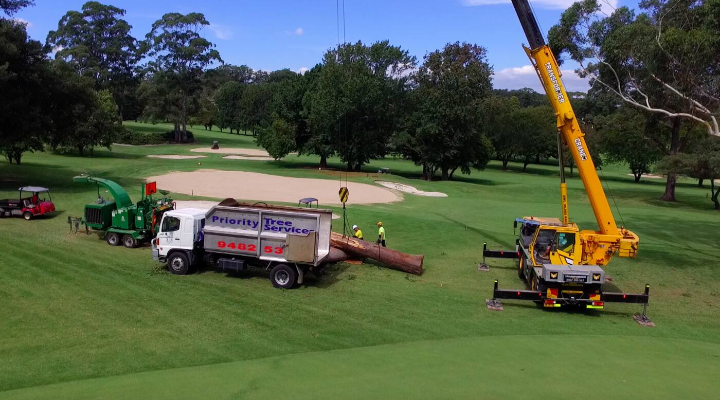 Priority Tree Services - Logo