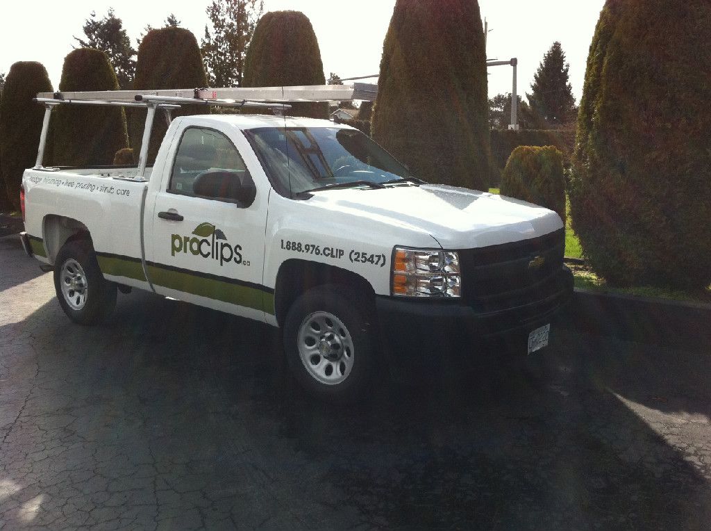 Proclips - Logo