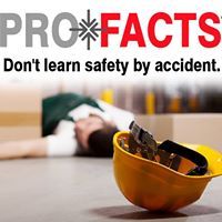 Pro Facts - Logo