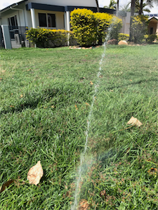 Professional Irrigation Landscaping & Fencing - Logo