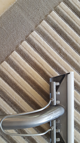 Professional Carpet Cleaning Service - Logo