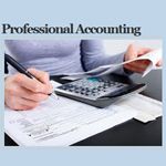 Professional Accounting and Taxes - Logo
