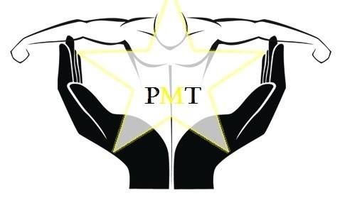 Professional Mobile Therapy - Logo