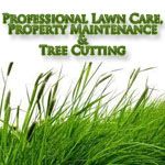Professional Lawn Care, Property Maintenance &a; Tree C - Logo