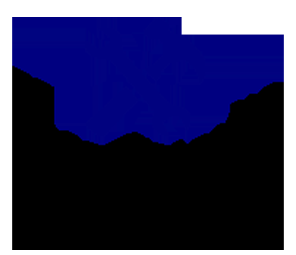Professional Construction Company Inc. - Logo