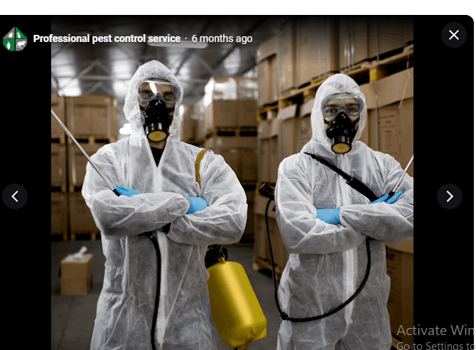 Professional pest control service - Cover photo