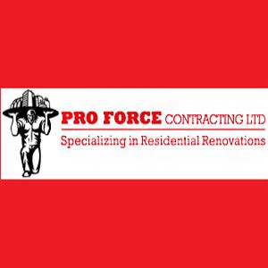 Pro Force Contracting Ltd. - Logo