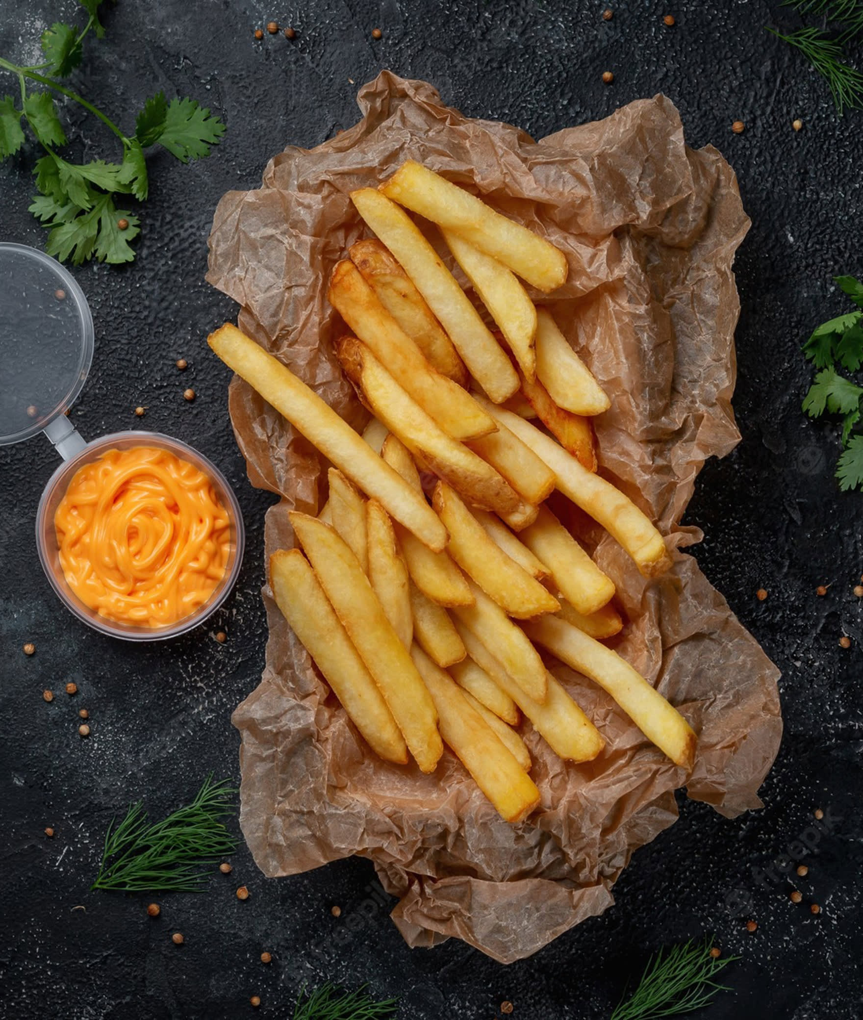 Project Fries - Logo