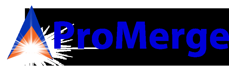 Project Merge Inc - Logo
