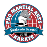 PRO Martial Arts - Waterloo - Logo