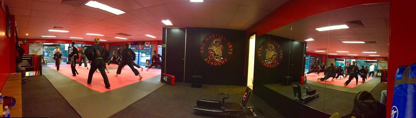 Pro Martial Arts Academy - Logo