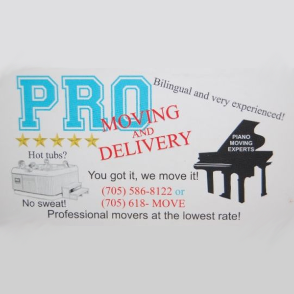 Pro Moving and Delivery - Logo