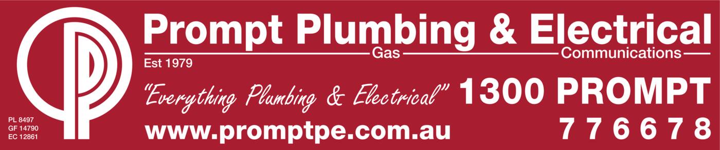 Prompt Plumbing - Cover photo