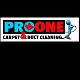 Pro-One Carpet &a;amp; Duct Cleaning - Logo