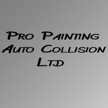 Pro Painting Auto Collision Ltd - Logo
