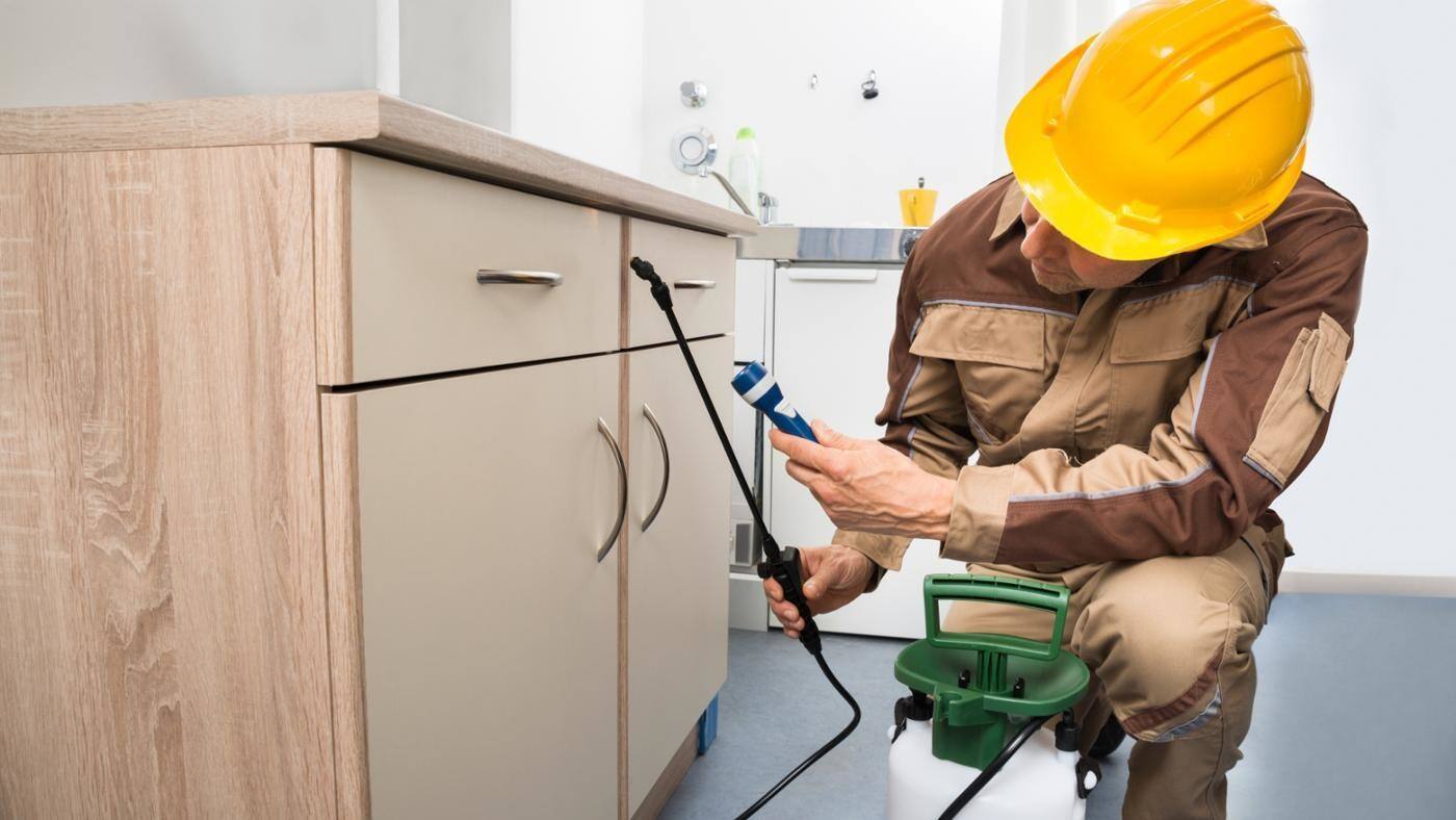 Property Health and Safety Australia - Cover photo