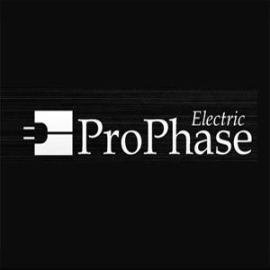 Pro Phase Ltd. - Logo