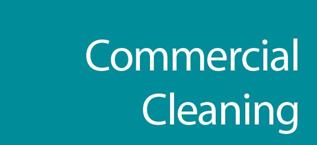 Pro San Cleaning - Logo
