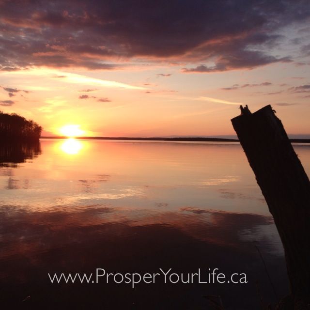 Prosper Your Life - Logo
