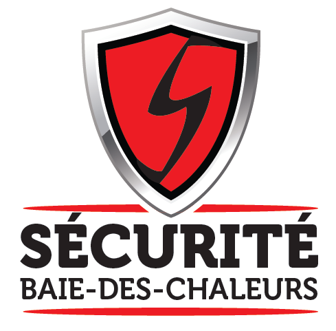 Protection et securite Phoenix - Logo