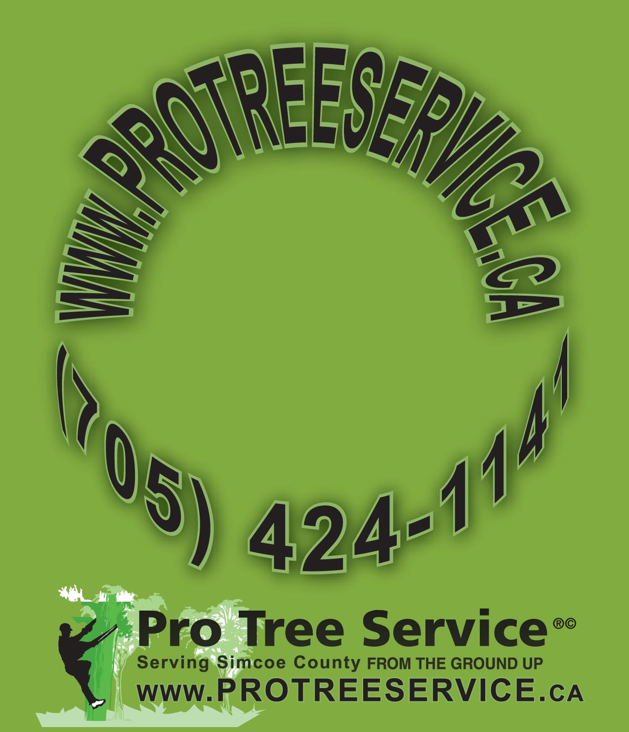 Pro Tree Service - Logo
