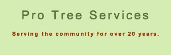 Pro Tree Services - Logo